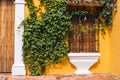 Window of a house, yellow wall