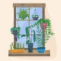 Window with houseplants and flowers in pots.