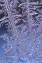 Frost texture on glass Royalty Free Stock Photo