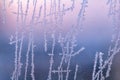 Window ice, crystallization. Frost texture on glass in cold winter Royalty Free Stock Photo