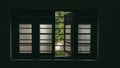 Window with its blinds open, surrounded by lush greenery Royalty Free Stock Photo