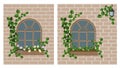 Window with ivy, flower box, lantern on a brick wall. Royalty Free Stock Photo