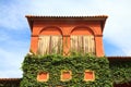 window with ivy wall Royalty Free Stock Photo