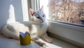 At the window lies a white cat next to a golden crown