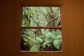 Window look out in fern jungle in Winter