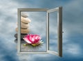 window on lotus flower and stones background closeup