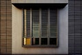 window louver with vertical louvers, providing privacy and ventilation