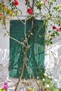 Window of the medieval house with flowers, Zakynthos island Royalty Free Stock Photo