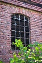Old window with broken panes Royalty Free Stock Photo