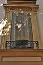 Window with metal shutters