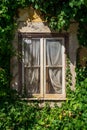 Window of an old abandoned house covered with ivy covered with white curtains Royalty Free Stock Photo