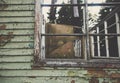 A window of an old aged ruined building with aged paint and wooden wall. Free blank copy space for text Royalty Free Stock Photo