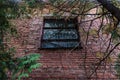 Window on an old brick facade shaded by tree branches Royalty Free Stock Photo