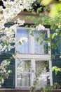 Window of an old house in city framed by spring branches