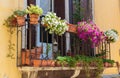 Window in old house decorated with flower pots and flowers Royalty Free Stock Photo
