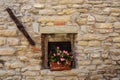 Window in an old house with flower pots and flowers Royalty Free Stock Photo