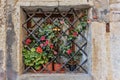 Window in an old house decorated with flower pots Royalty Free Stock Photo