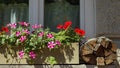 The window of an old house with flowers Royalty Free Stock Photo