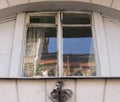 A window in an old house with heterochromatic kitten on a window Royalty Free Stock Photo