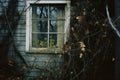 a window in an old house with vines growing around it Royalty Free Stock Photo