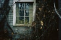 a window in an old house with vines growing around it