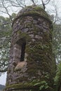 The window in old tower. Stones are overgrown by moss.