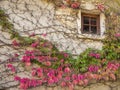 Window of an old white house at medieval village Perouges with c