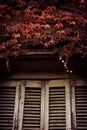 Window with old wooden shutter Royalty Free Stock Photo
