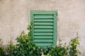 Window with old wooden shutter surrounded by ivy on concrete wall Royalty Free Stock Photo