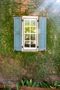 window with open shutters in a wall made of old brick is covered with ivy Royalty Free Stock Photo