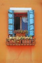 Window on a orange wall with flowers Royalty Free Stock Photo