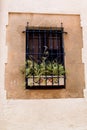 Window outdoors with flowers Royalty Free Stock Photo