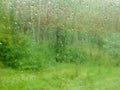 Window pane during a rain, blurred vegetation through the glass Royalty Free Stock Photo