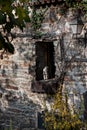 Window with a pixie on the windowsill Royalty Free Stock Photo