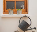 Window with plants and a hanging gutter