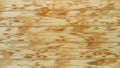 Window plastic blinds with the illusion of wood texture. Blurry abstract spots of light brown color on a yellow-beige background. Royalty Free Stock Photo