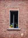 Window with potted flowers on the red brick wall Royalty Free Stock Photo