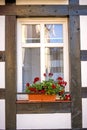 Window with pretty flowers