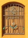 Window with pretty flowers