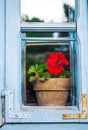 Window with red flower Royalty Free Stock Photo