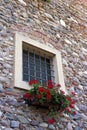 Window and red geraniums Royalty Free Stock Photo