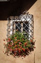 Window with red geraniums and wrought iron security bars - Trentino Italy