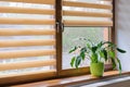 Window roller, duo system day and night. Cozy home interior