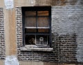 Window in Rundown Building Royalty Free Stock Photo