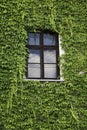 Window in rural house Royalty Free Stock Photo