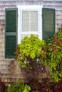 Window in rustic clapboard house with green shutters with window flower box full of beautiful plants Royalty Free Stock Photo