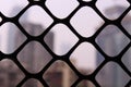 A window screen of a house Royalty Free Stock Photo