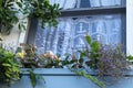 Window by the sea - Looking up at a window with lace nautical curtians in wooden house with window box planter with flowers Royalty Free Stock Photo