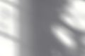 Window Shadow Stock Image In White Background