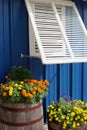 Window shutter and flowers Royalty Free Stock Photo